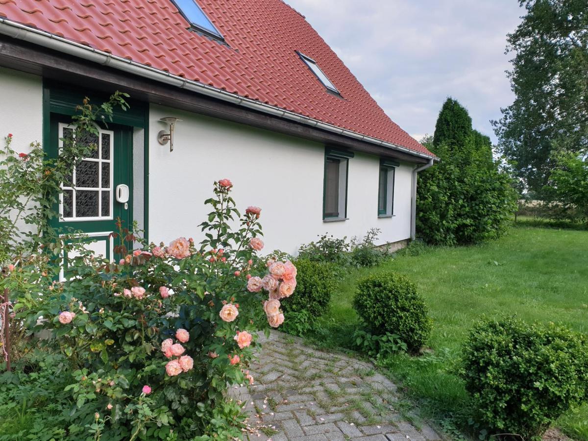 Oeko-Ferienhaus Rappin Exterior photo